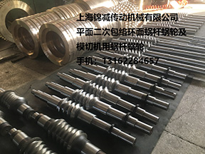 平面二次包絡(luò)環(huán)面蝸桿蝸輪